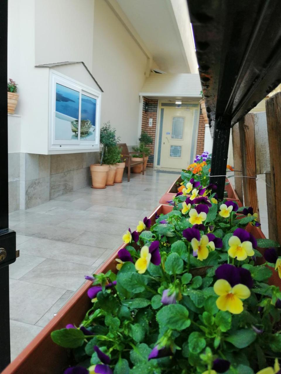 Giorgos Sea View Appartamento Olympiakí Aktí